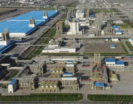 ��(y��ng)���I(l��ng)��